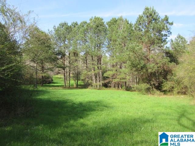 229 County Road, Unit 29 Thorsby, AL 35171 - Photo 1 of 23