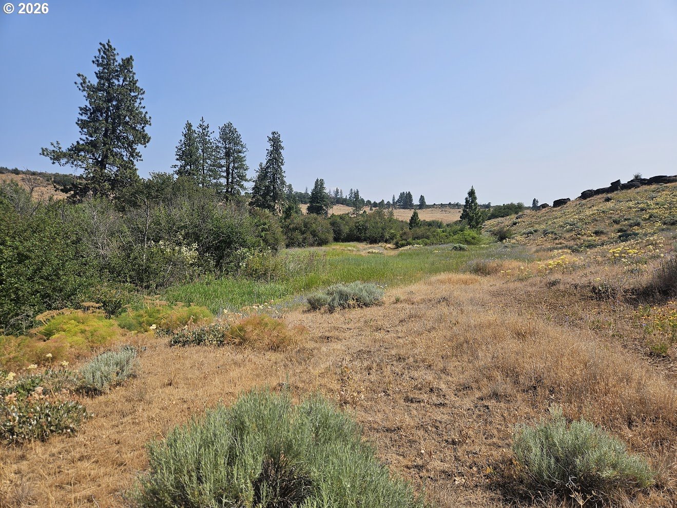 Olson Road Centerville, WA 98613 - Photo 12 of 25