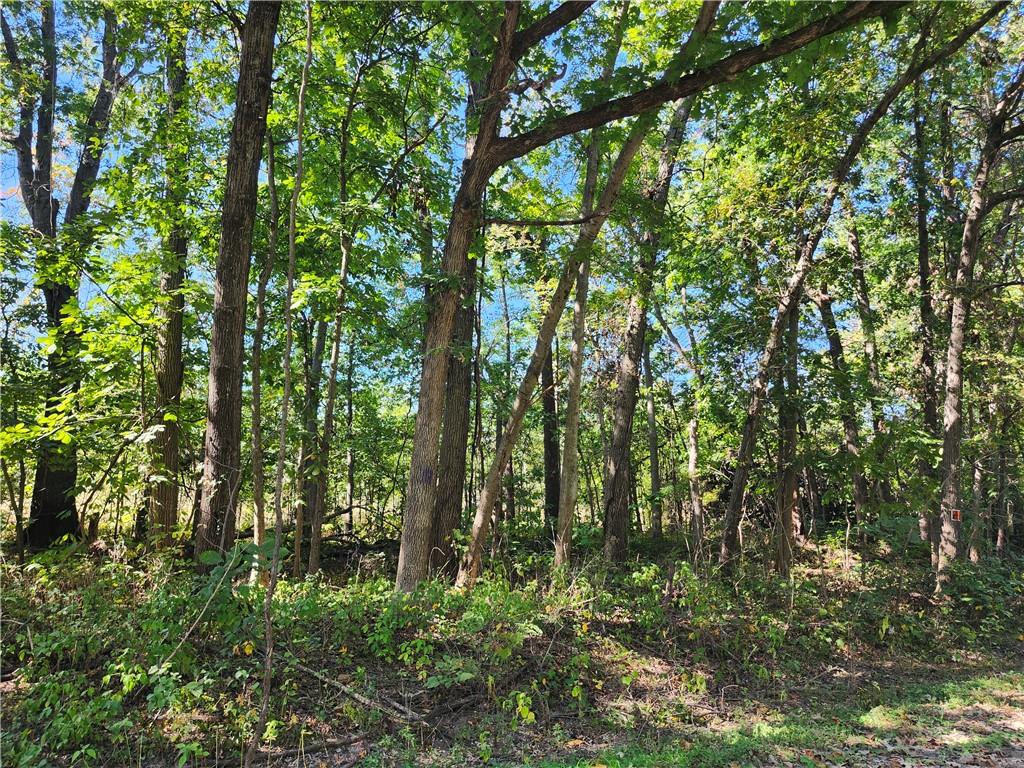 South Sawmill Road Harrisonville, MO 64701 - Photo 2 of 3 Gallery Image 2