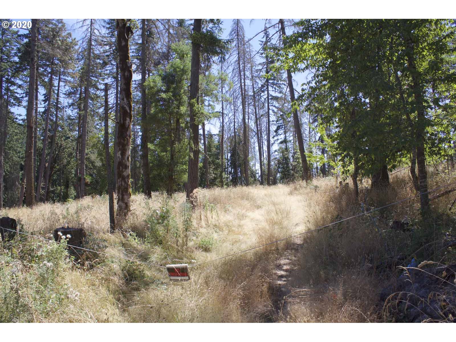Dillard Loop Eugene, OR 97405 - Photo 1 of 15