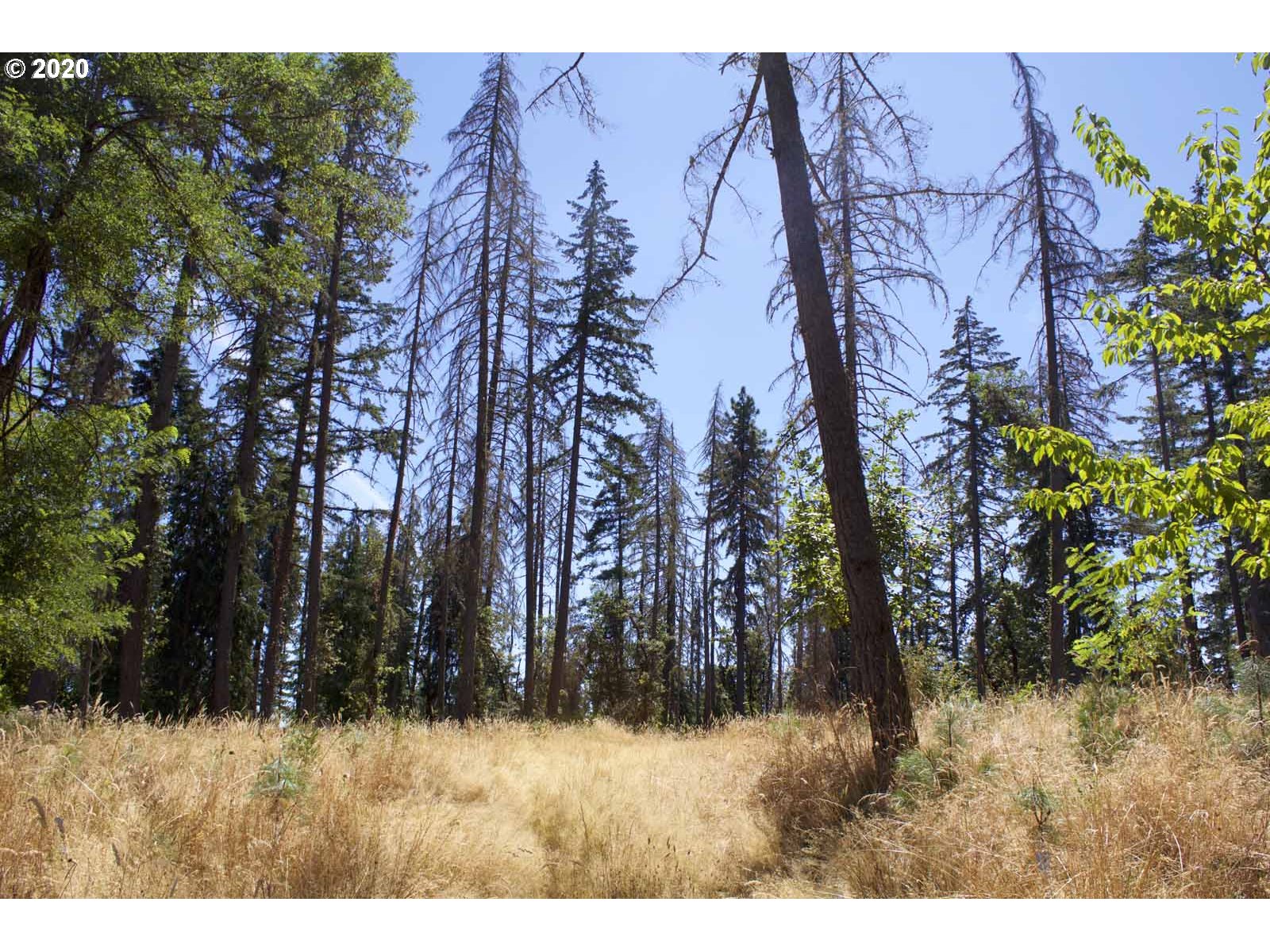 Dillard Loop Eugene, OR 97405 - Photo 2 of 15