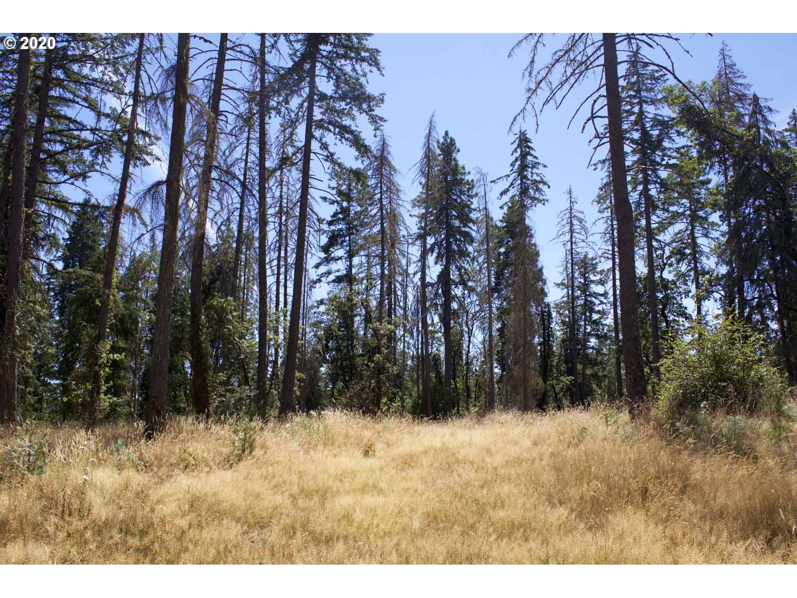 Dillard Loop Eugene, OR 97405 - Photo 12 of 15