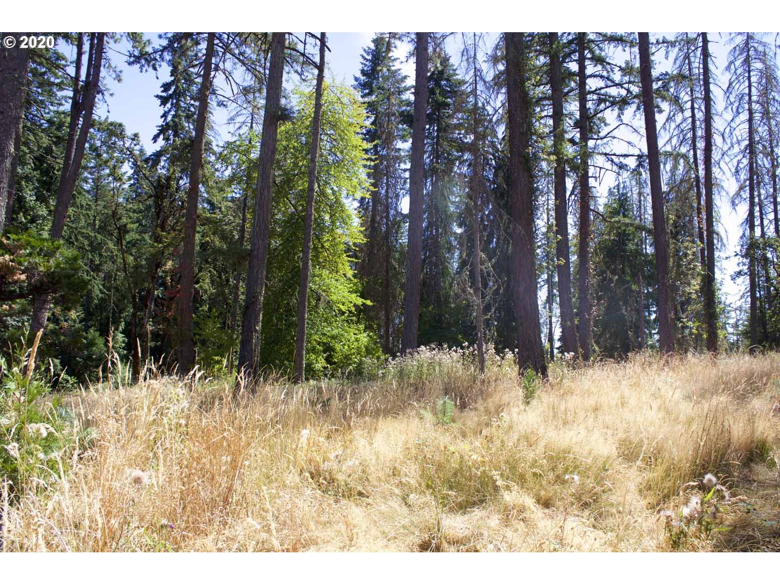 Dillard Loop Eugene, OR 97405 - Photo 13 of 15