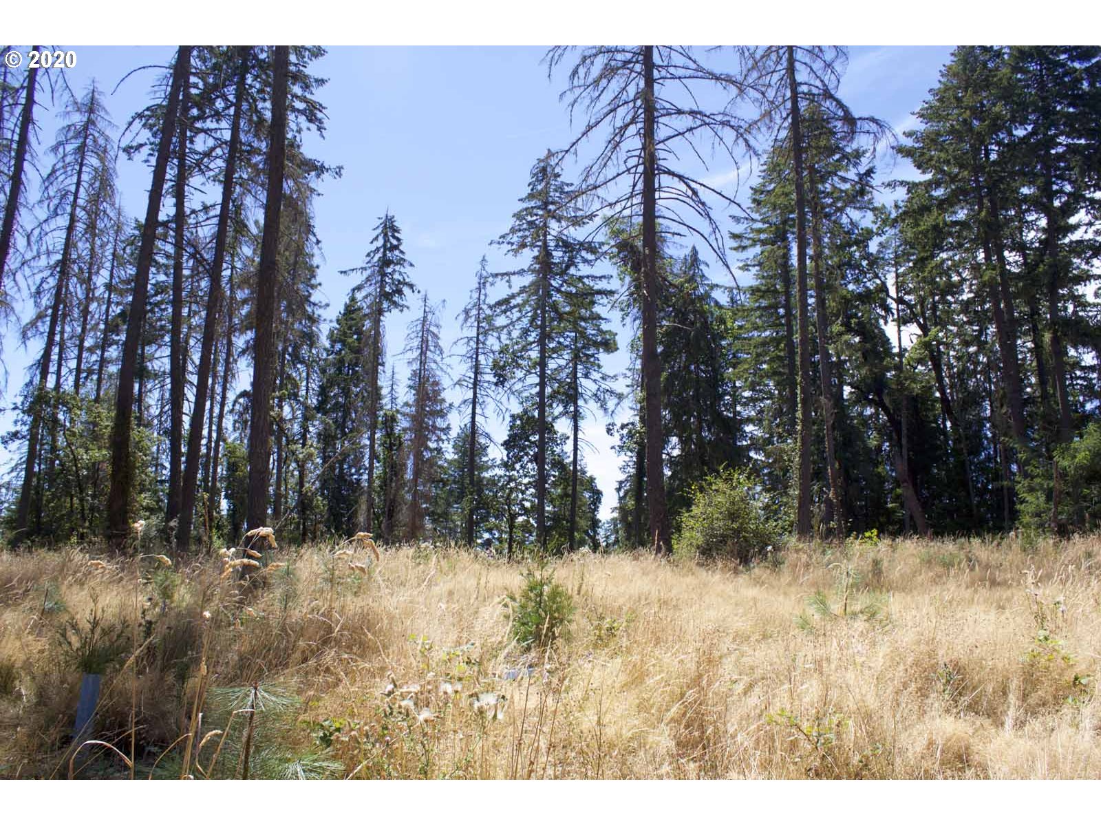 Dillard Loop Eugene, OR 97405 - Photo 14 of 15