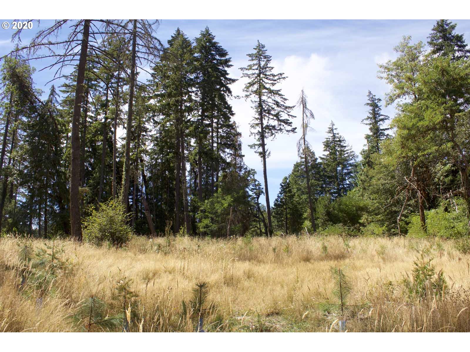 Dillard Loop Eugene, OR 97405 - Photo 15 of 15