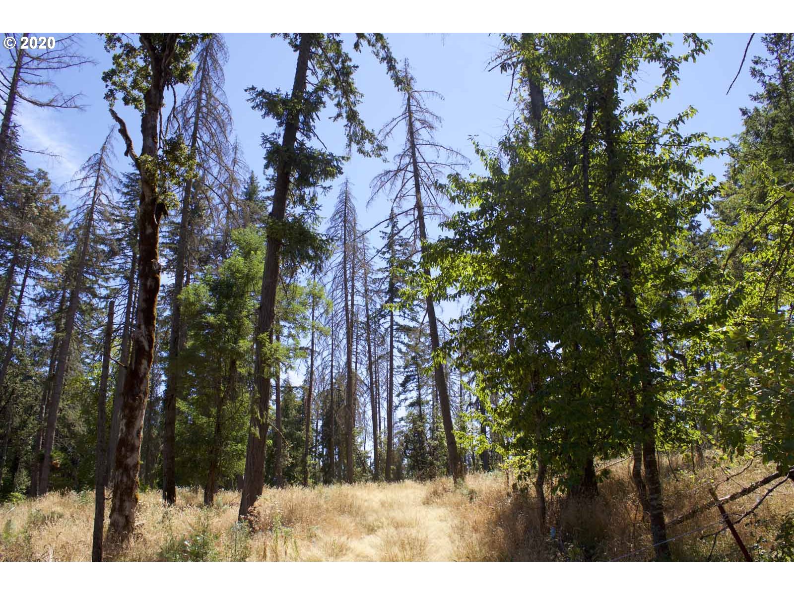 Dillard Loop Eugene, OR 97405 - Photo 3 of 15