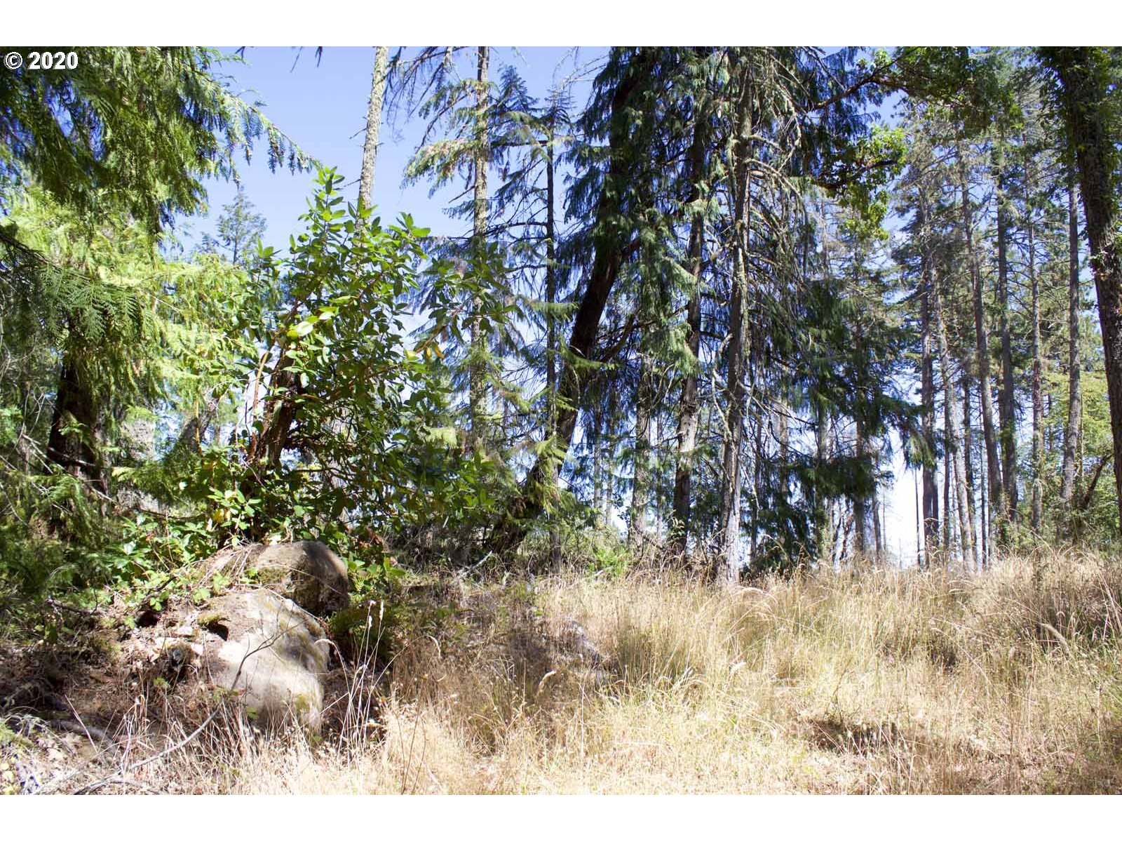 Dillard Loop Eugene, OR 97405 - Photo 4 of 15