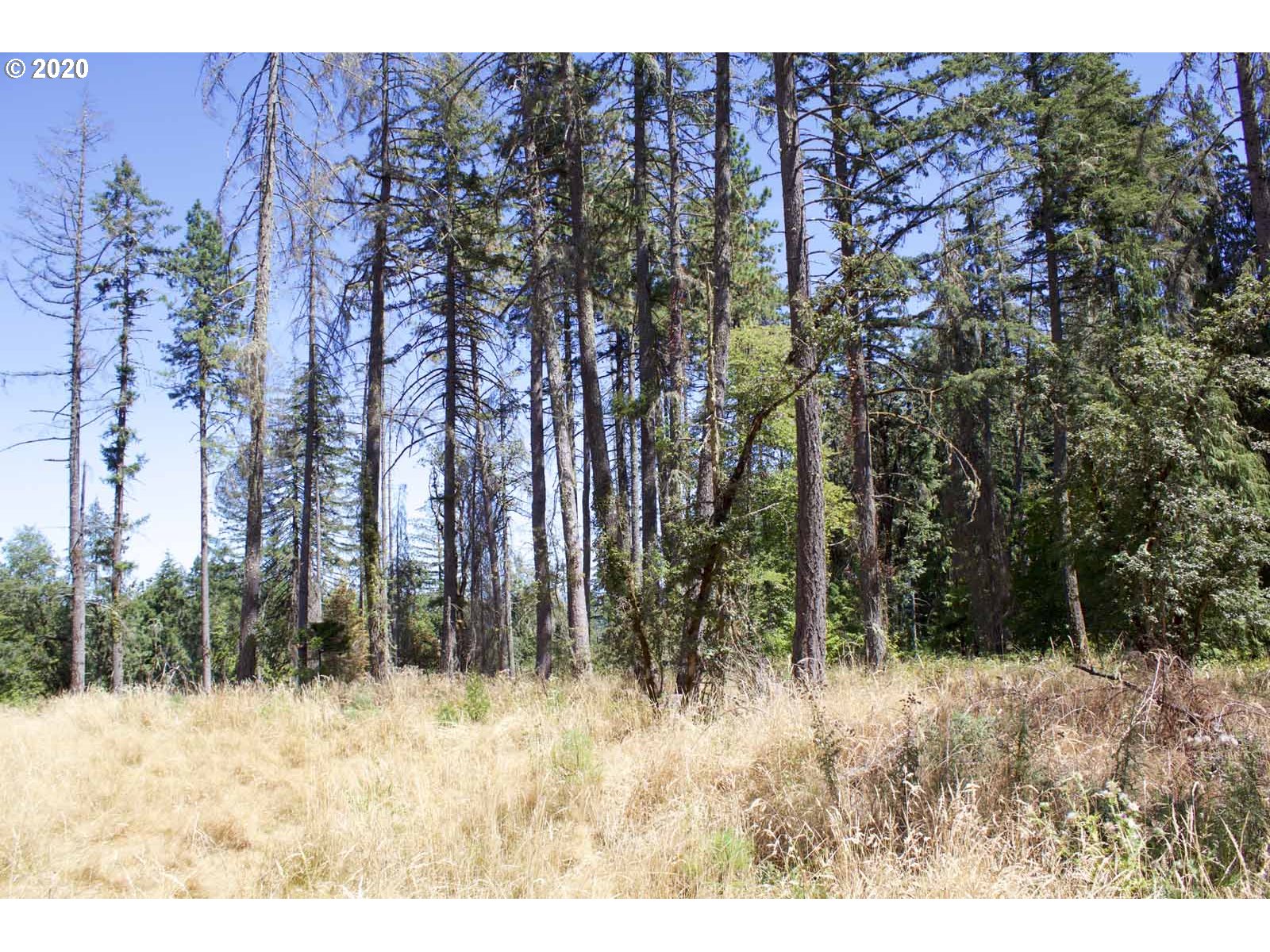 Dillard Loop Eugene, OR 97405 - Photo 5 of 15