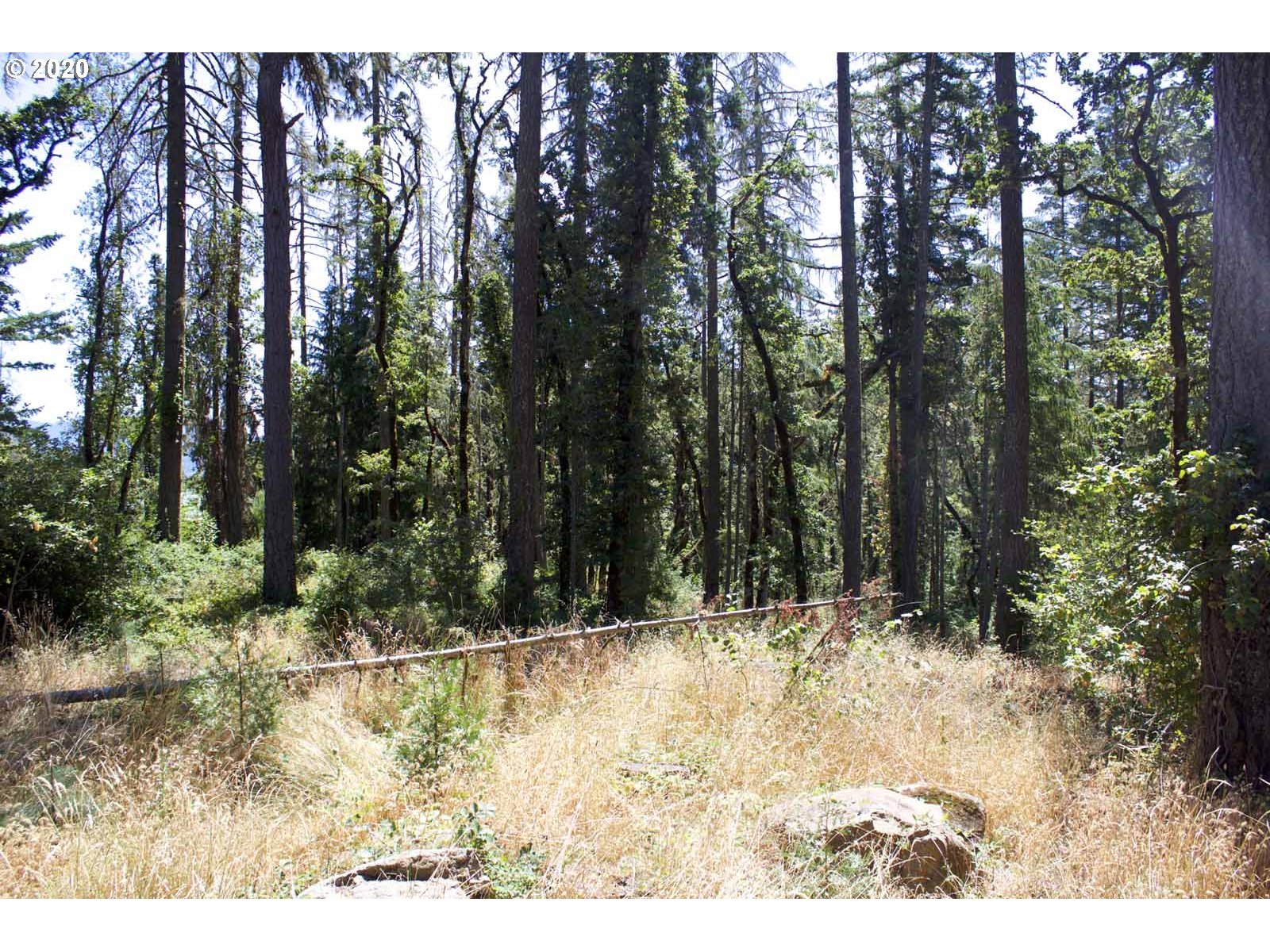 Dillard Loop Eugene, OR 97405 - Photo 6 of 15