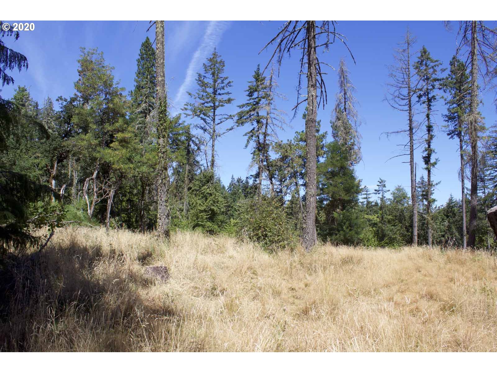Dillard Loop Eugene, OR 97405 - Photo 7 of 15