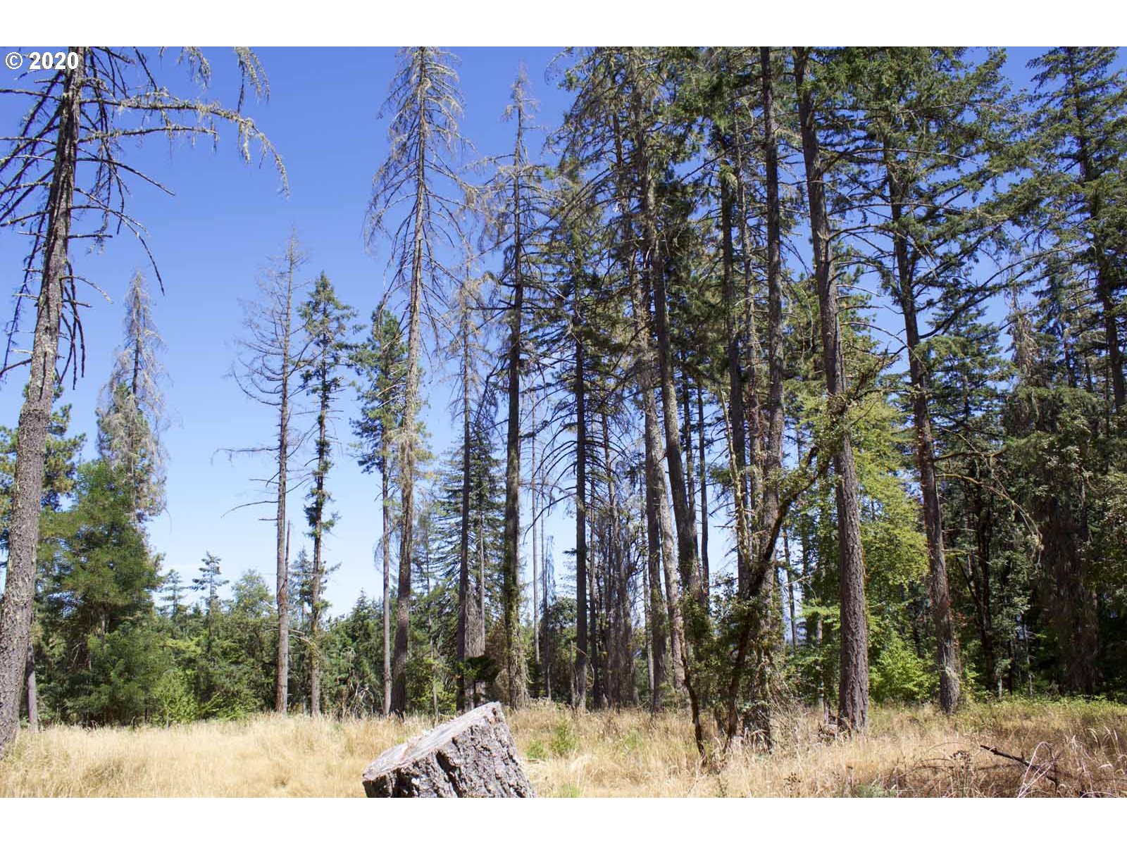 Dillard Loop Eugene, OR 97405 - Photo 8 of 15
