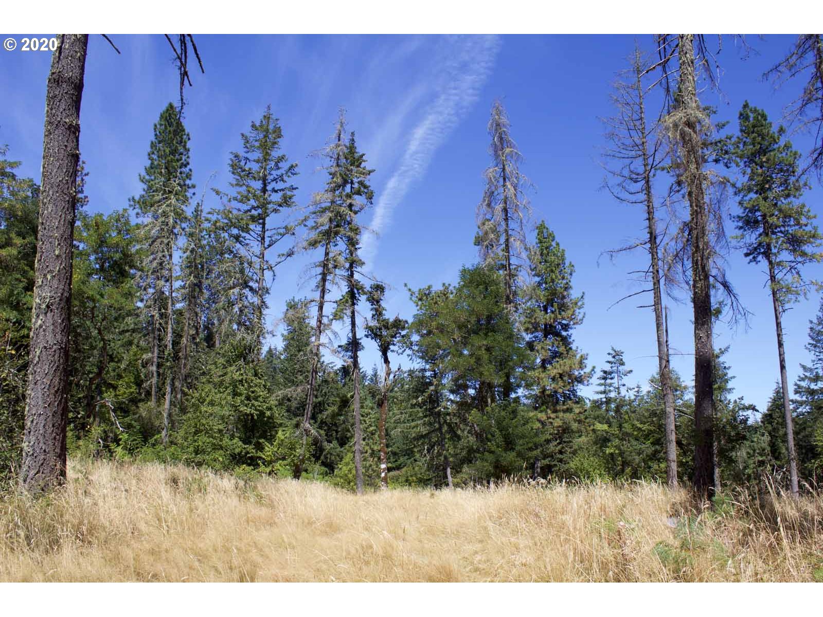 Dillard Loop Eugene, OR 97405 - Photo 9 of 15