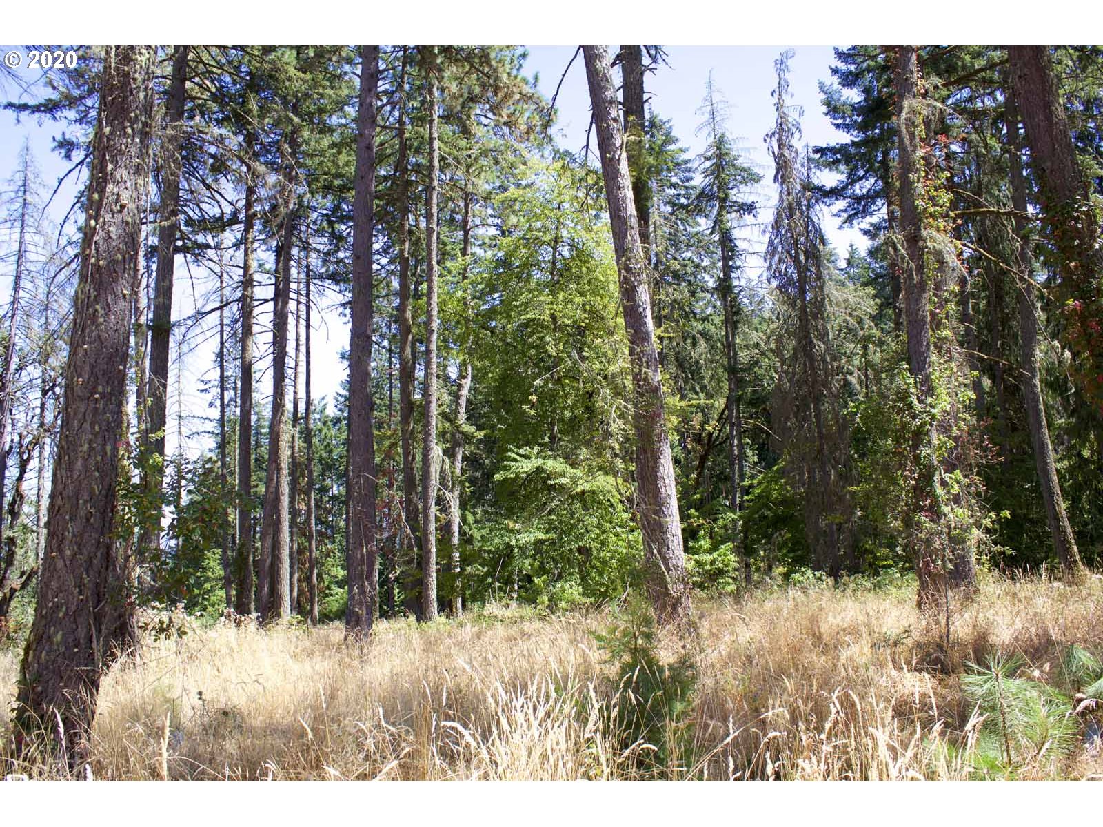 Dillard Loop Eugene, OR 97405 - Photo 10 of 15