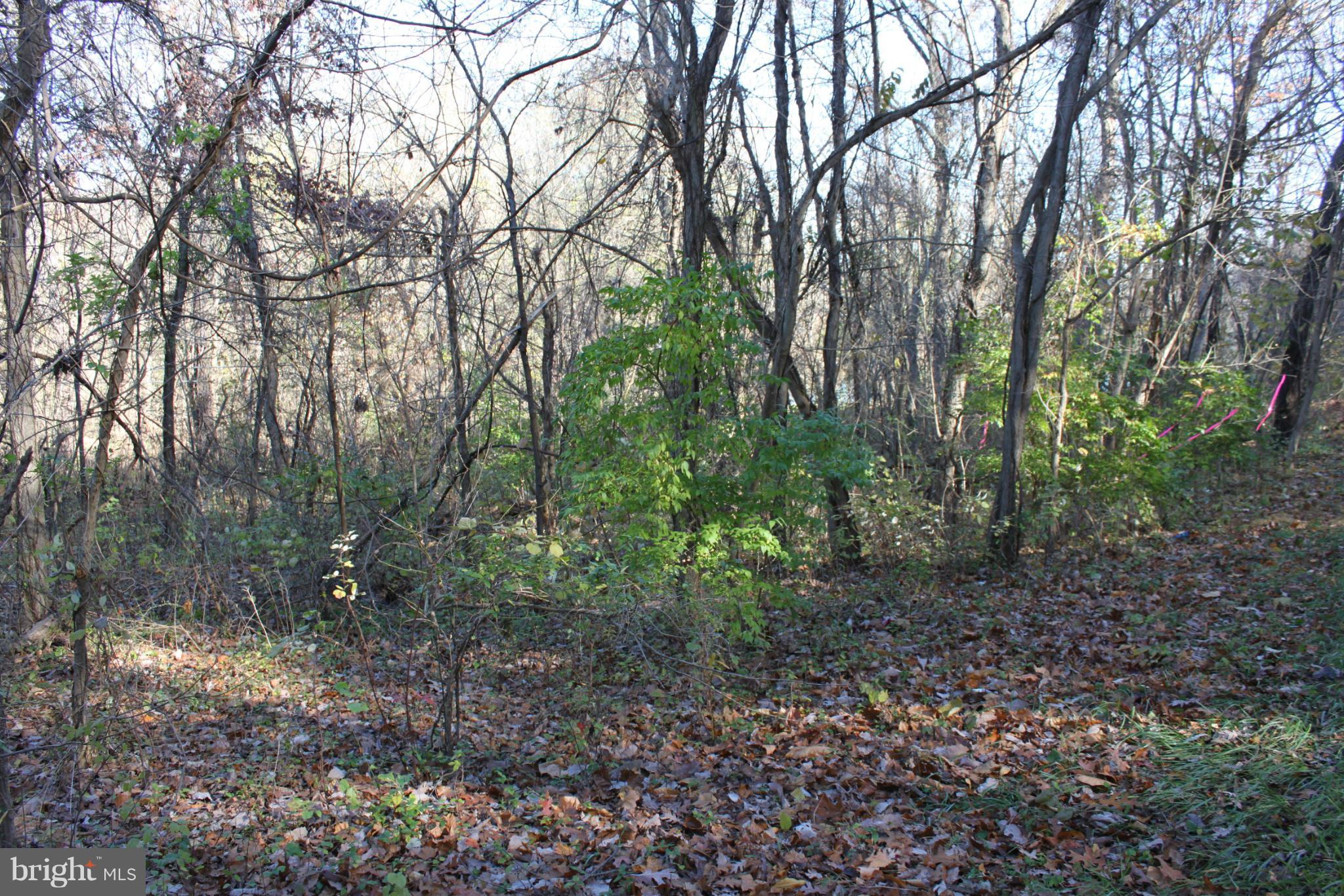 12 Howellsville Road Boyce, VA 22620 - Photo 1 of 10 NICE LEVEL RIVER LOT
