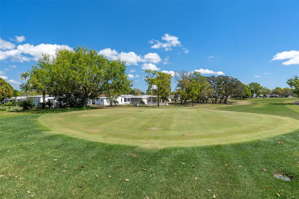 12260 Hallmark Avenue Brooksville, FL 34613 - Photo 48 of 58