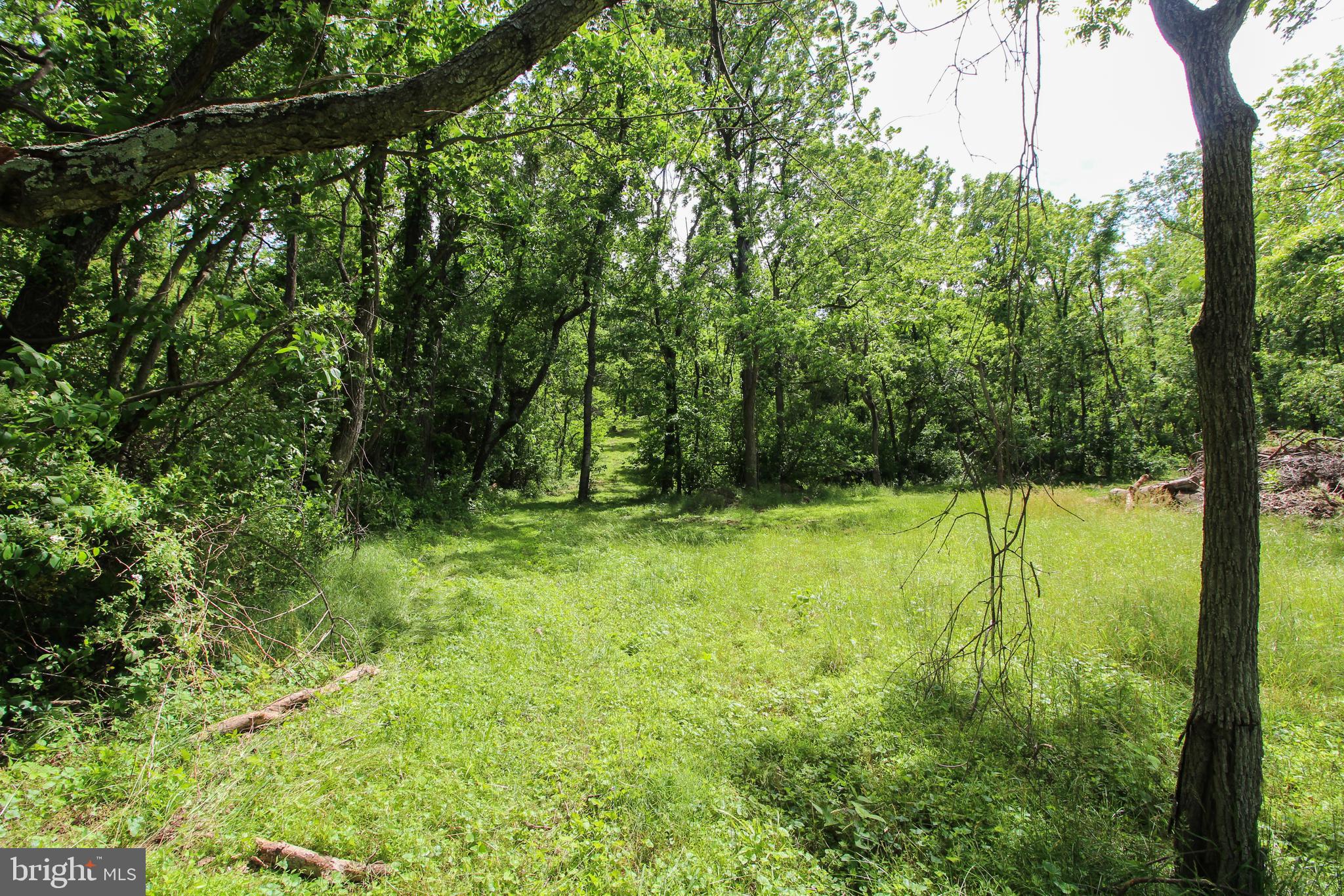 Dodson Rd Mount Mount Jackson, VA 22842 - Photo 11 of 19