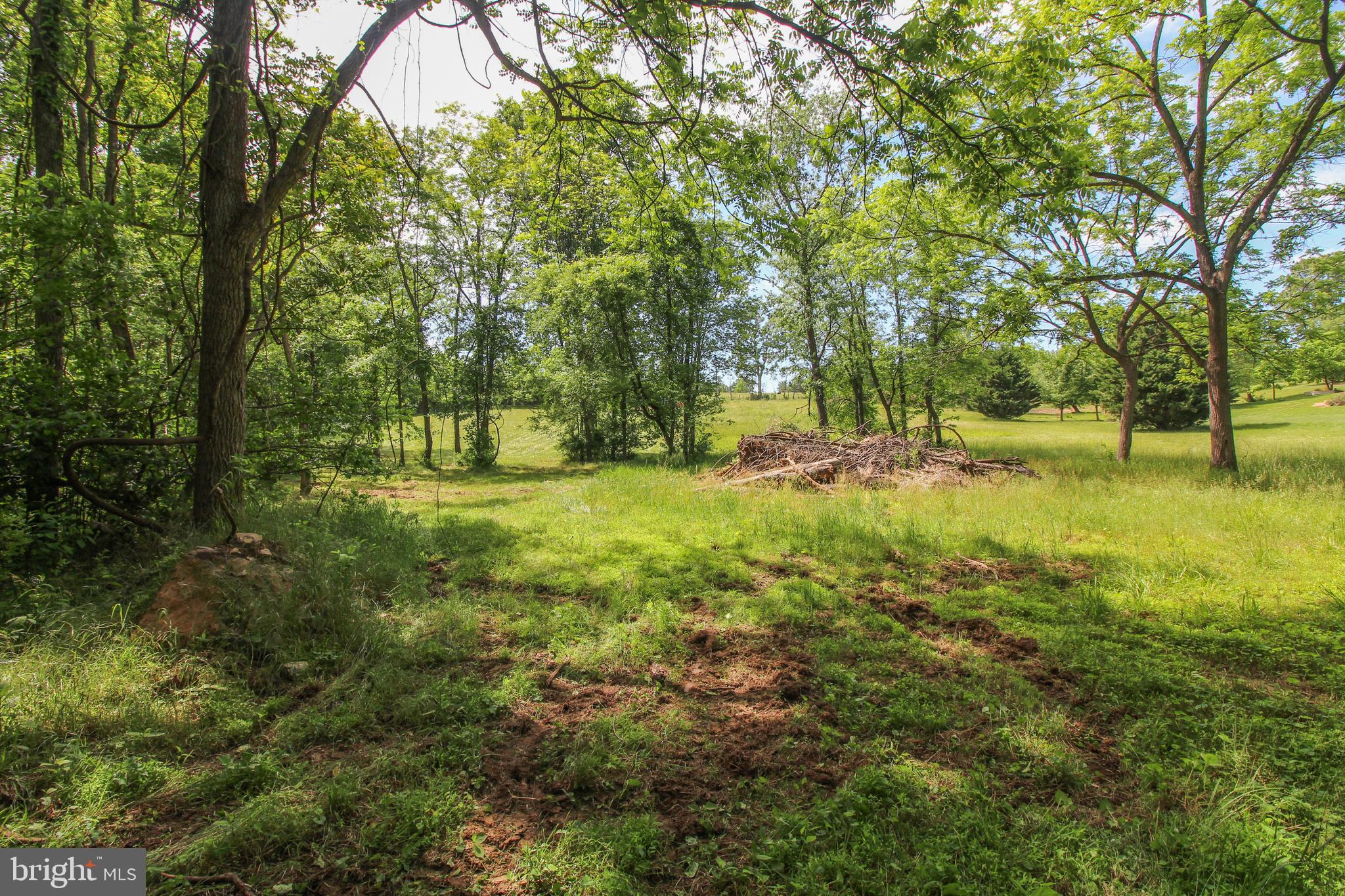 Dodson Rd Mount Mount Jackson, VA 22842 - Photo 13 of 19