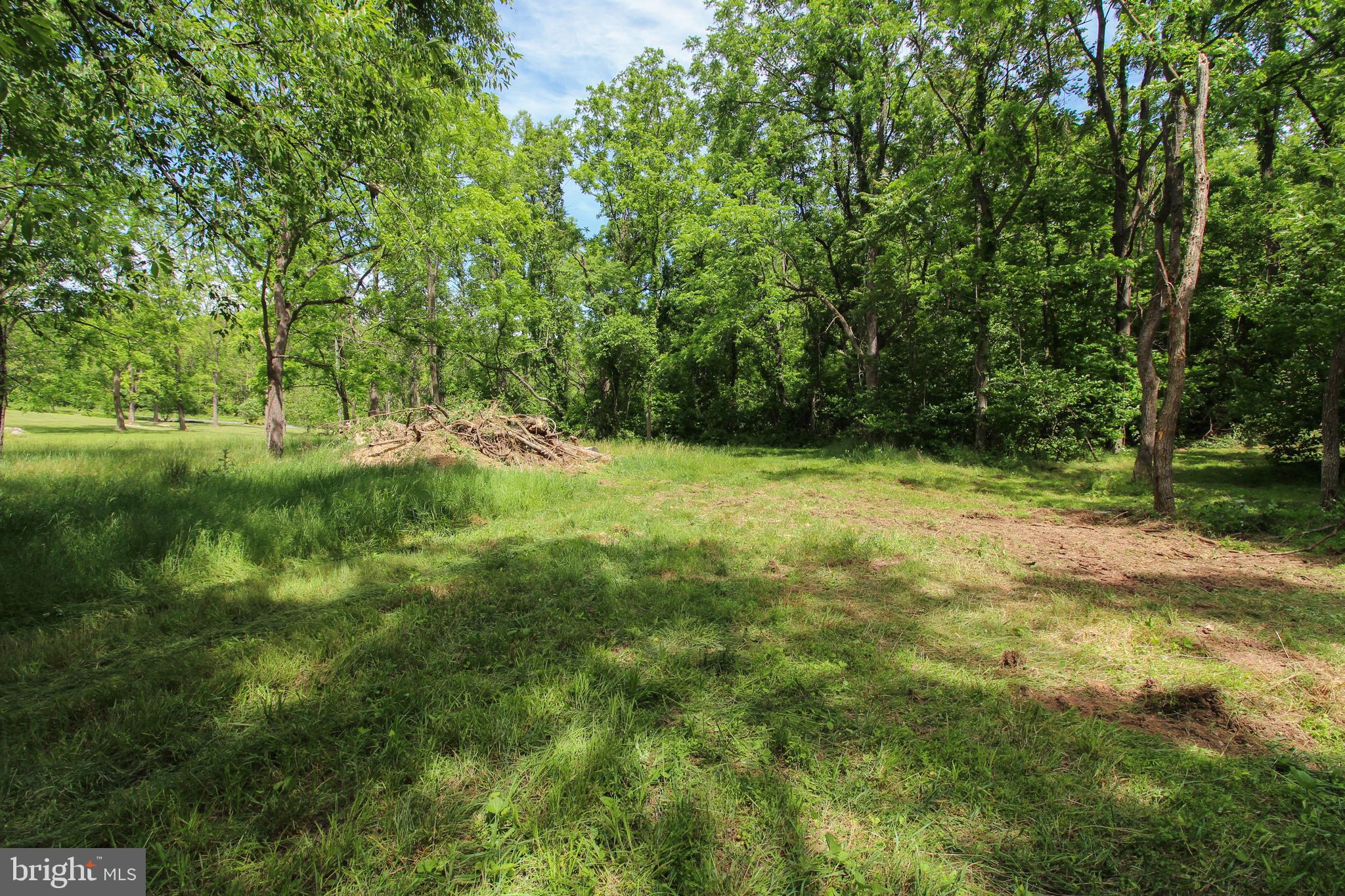 Dodson Rd Mount Mount Jackson, VA 22842 - Photo 14 of 19