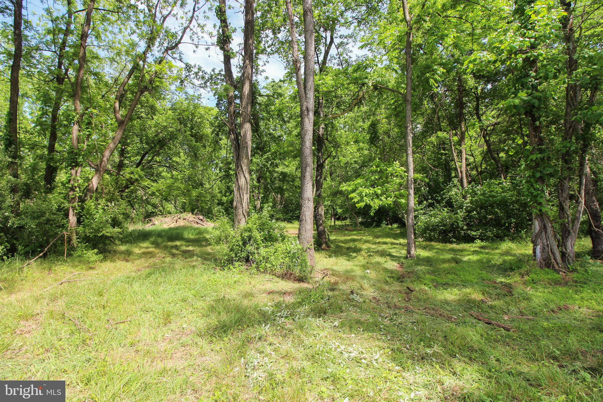 Dodson Rd Mount Mount Jackson, VA 22842 - Photo 15 of 19