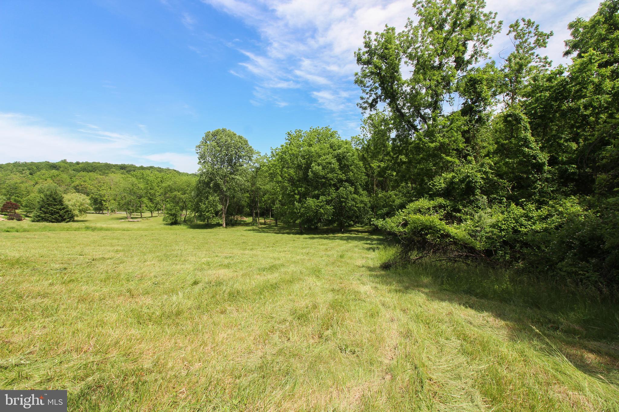 Dodson Rd Mount Mount Jackson, VA 22842 - Photo 3 of 19