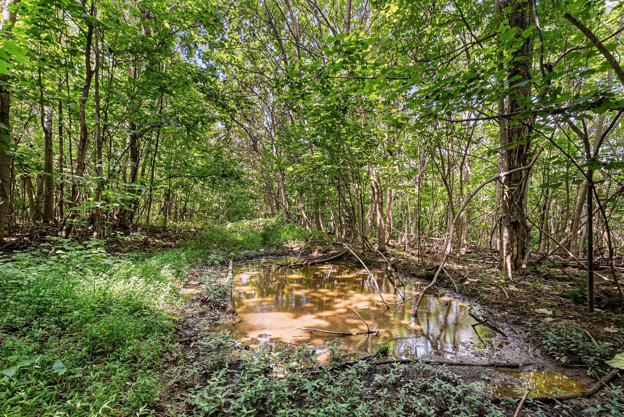 0 Sparkman Town-Bone Cave Road Doyle, TN 38559 - Photo 60 of 77 Gallery Image 60