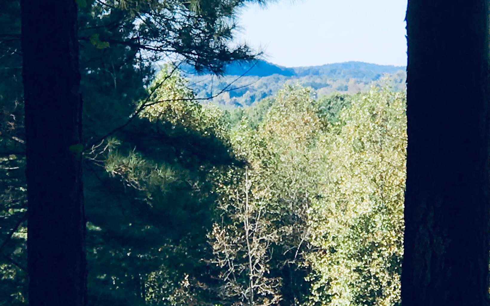 2 Black Bear Ridge Road Ellijay, GA 30536 - Photo 1 of 1 a view of a yard