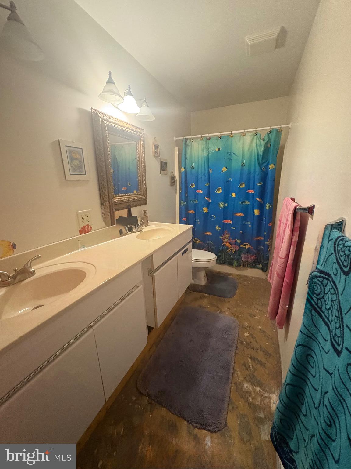 3019 Union Church Road Tylerton, MD 21866 - Photo 25 of 41 a bathroom with a sink a mirror and a shower