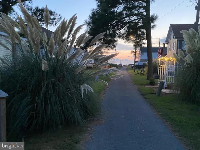 a view of a lake with a mountain