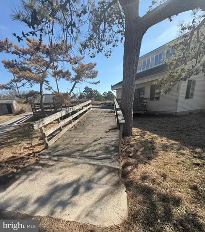 a view of a yard with a tree