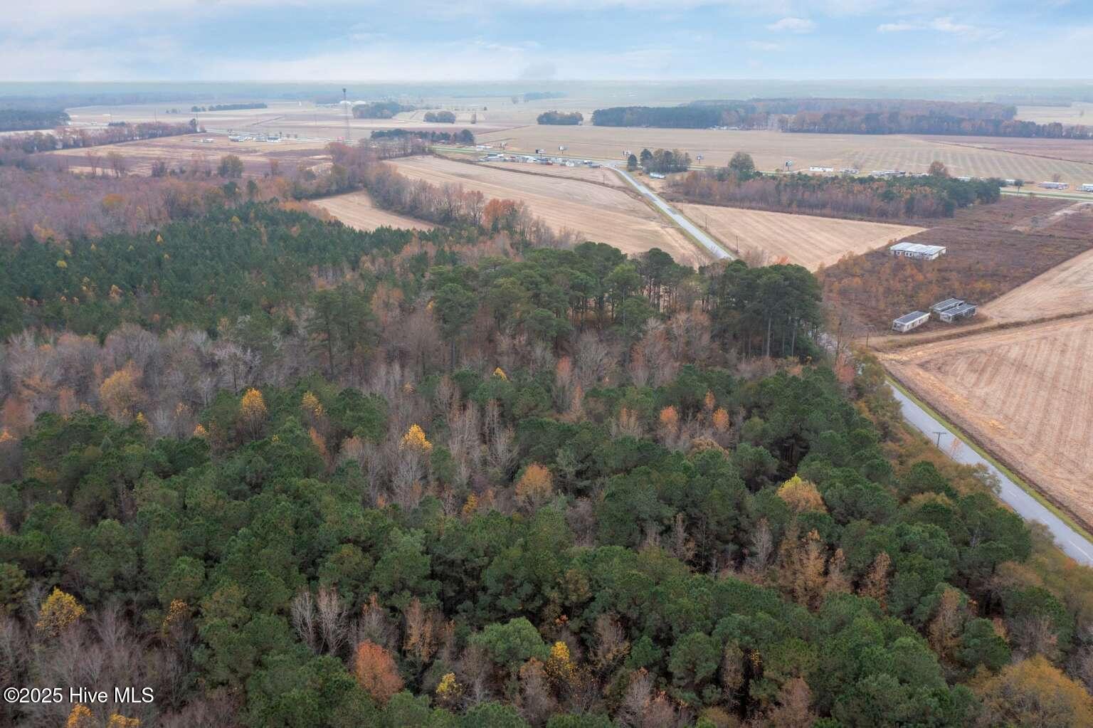 0 Albert Sugg Road La Grange, NC 28551 - Photo 3 of 8 Manasa.2