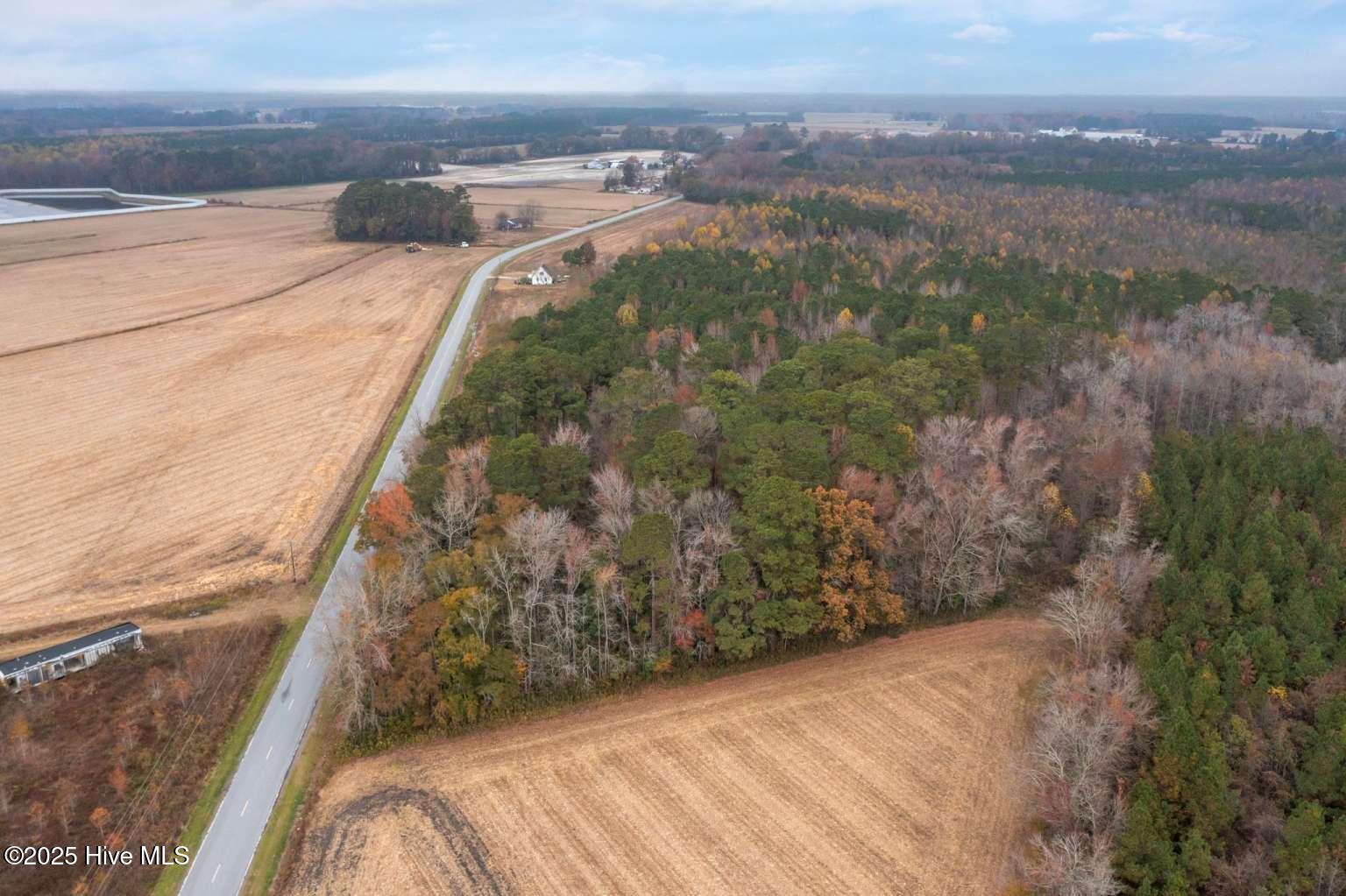 0 Albert Sugg Road La Grange, NC 28551 - Photo 4 of 8 Manasa.3