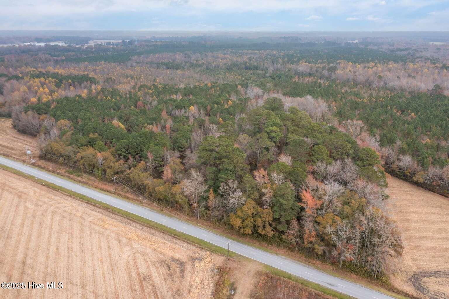 0 Albert Sugg Road La Grange, NC 28551 - Photo 5 of 8 Manasa.4