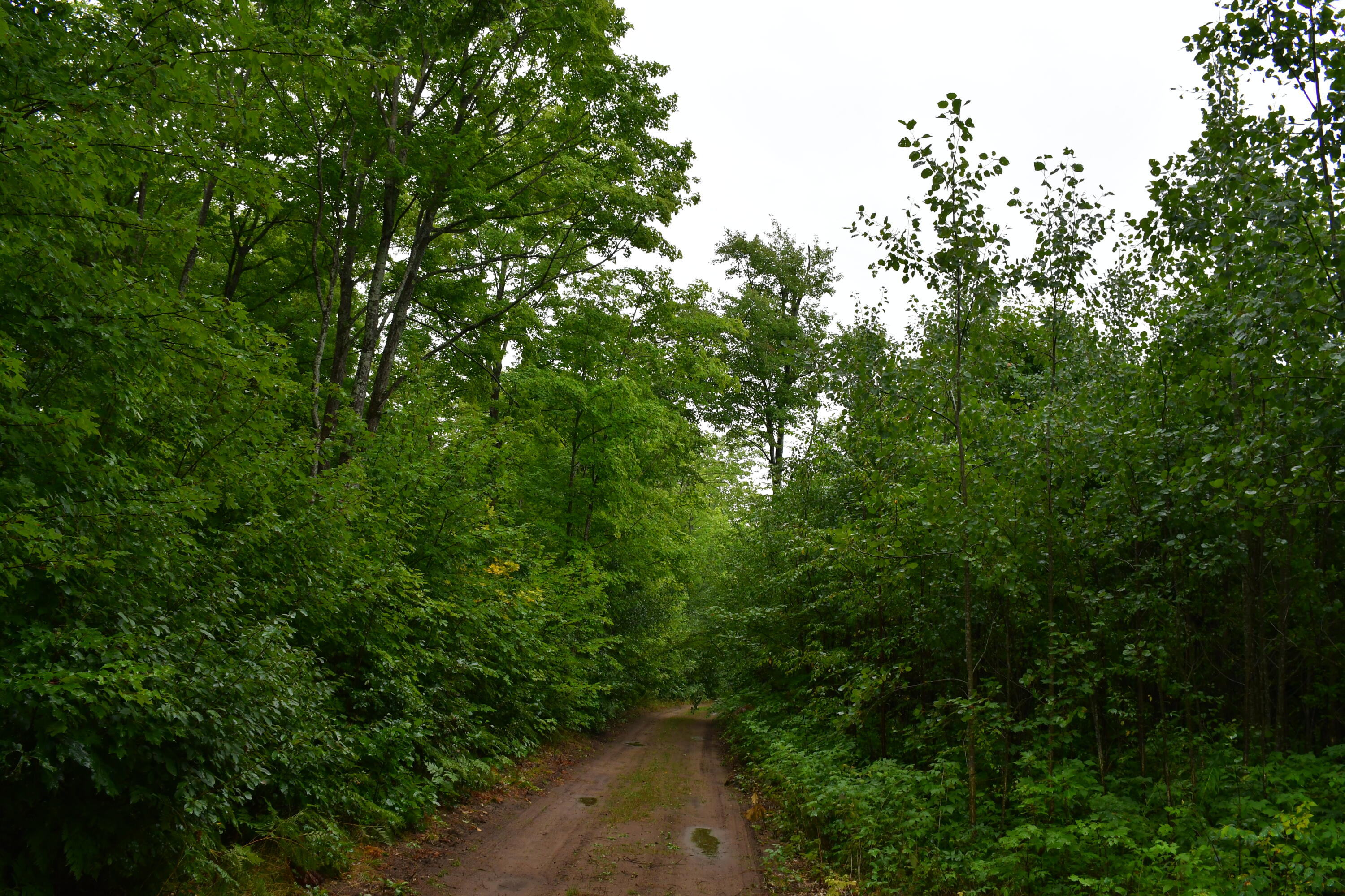 23 East 23 Mile Road Pickford, MI 49774 - Photo 24 of 27 Gallery Image 24
