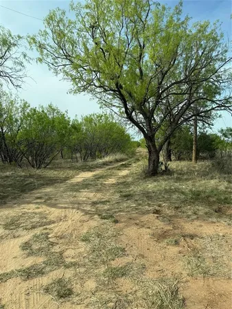 a view of outdoor space with trees