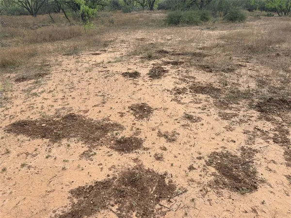 a close up of a wall with a dry yard
