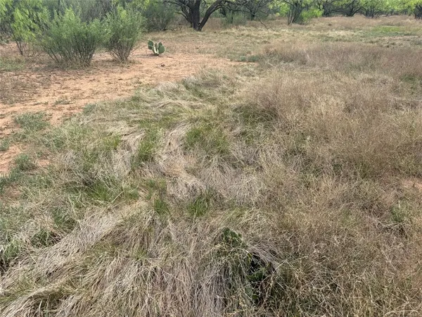 a view of a backyard of a house