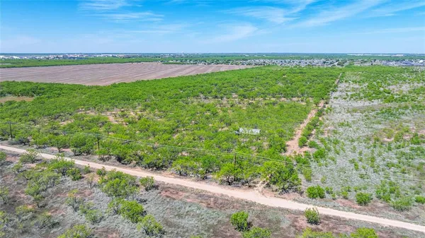 a view of a field with an ocean