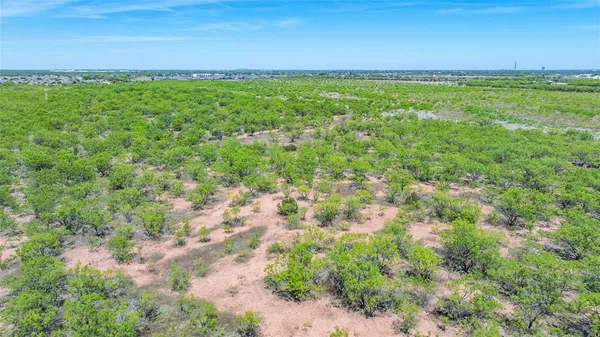 a view of a big yard with lots of bushes