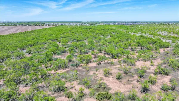 a view of a field with an ocean