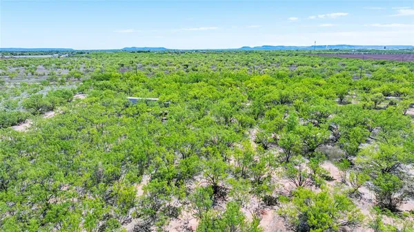 a view of a lush green space