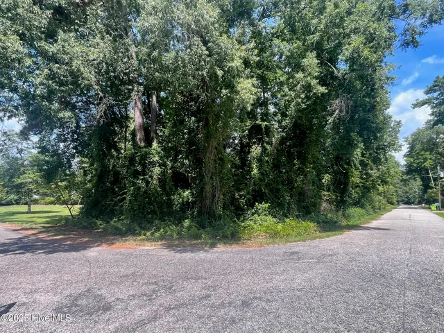 $25,000 | Lot 110 Wildwood Road, Whiteville, NC 28472