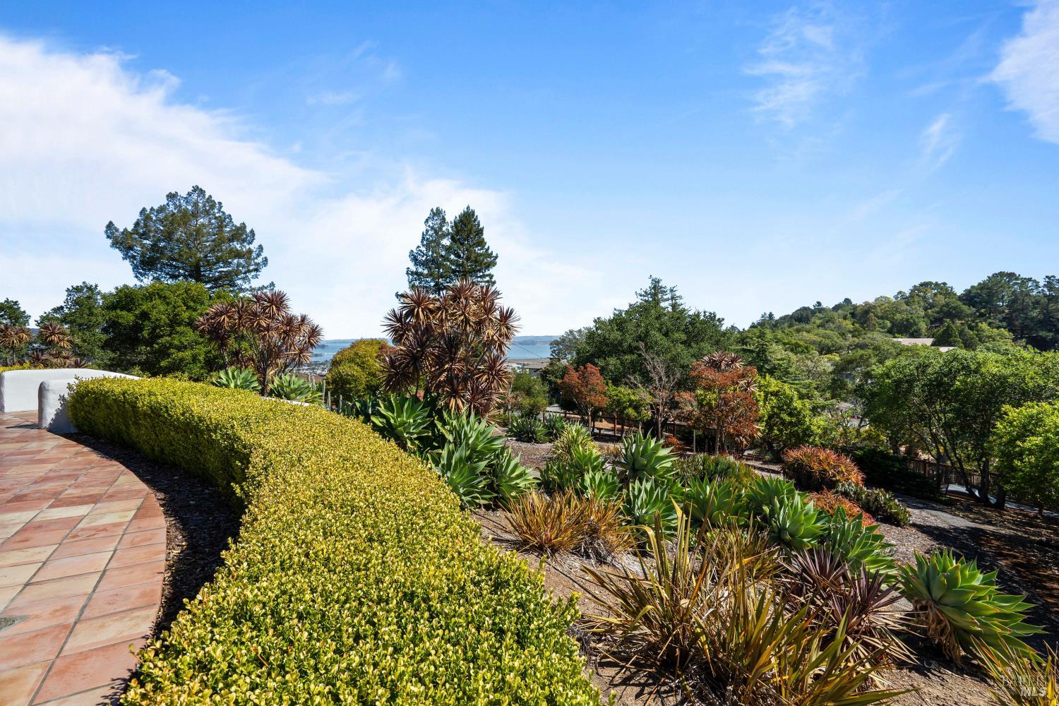 205 Bret Harte Road San Rafael, CA 94901 - Photo 25 of 37 Gallery Image 25