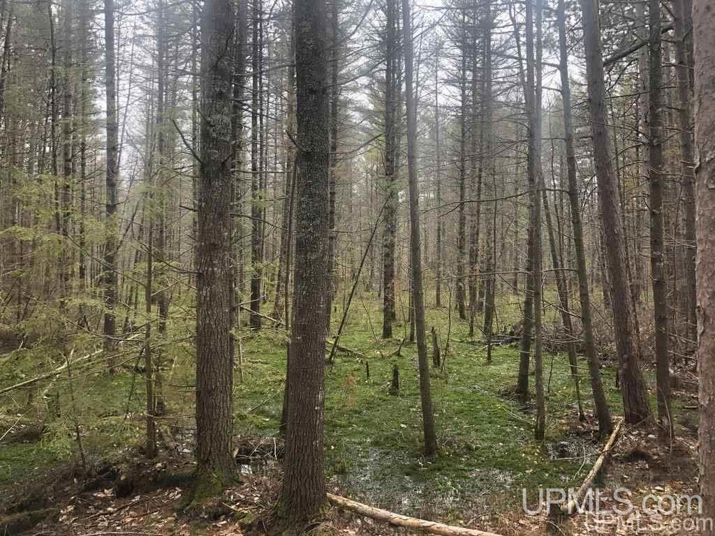 36.5 Shores Road, Unit 22 Manistique, MI 49854 - Photo 1 of 11