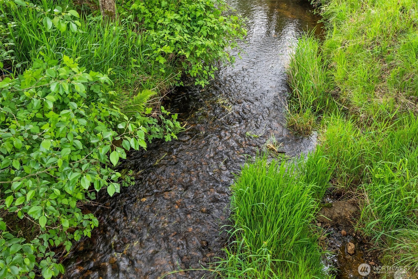 154 Sanderson Road Chehalis, WA 98532 - Photo 23 of 27 a view of a garden with plants