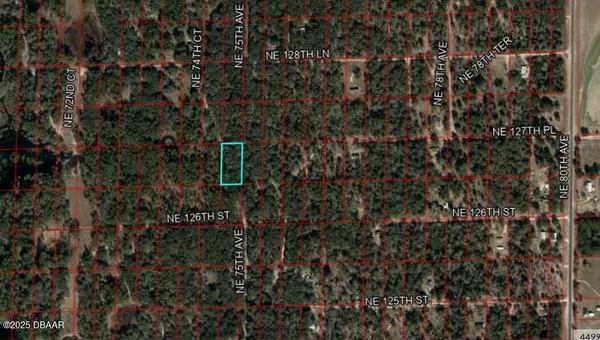 $20,000 | 0 Bronson, Bronson, FL 32621