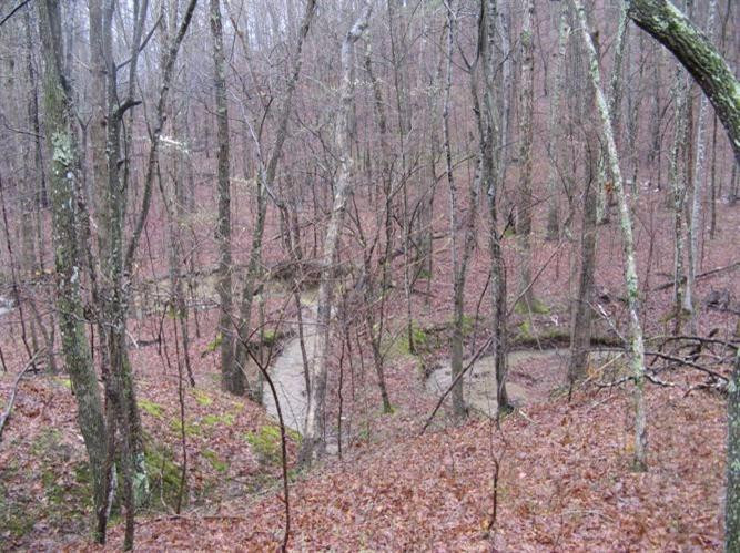 2800 East Fork Road Means, KY 40346 - Photo 19 of 22 Photo 19