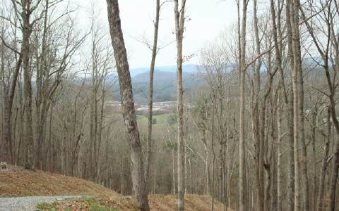 Lot 8 Mineral Springs Ridge Blue Ridge, GA 30513 - Photo 1 of 1 Main View