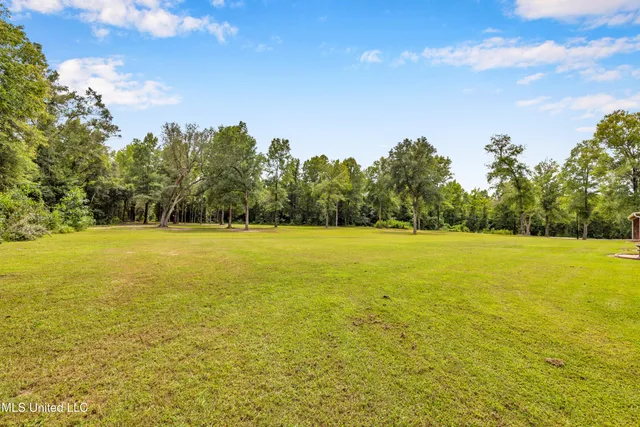 $599,000 | 7 Bridge View, Carriere, MS 39426