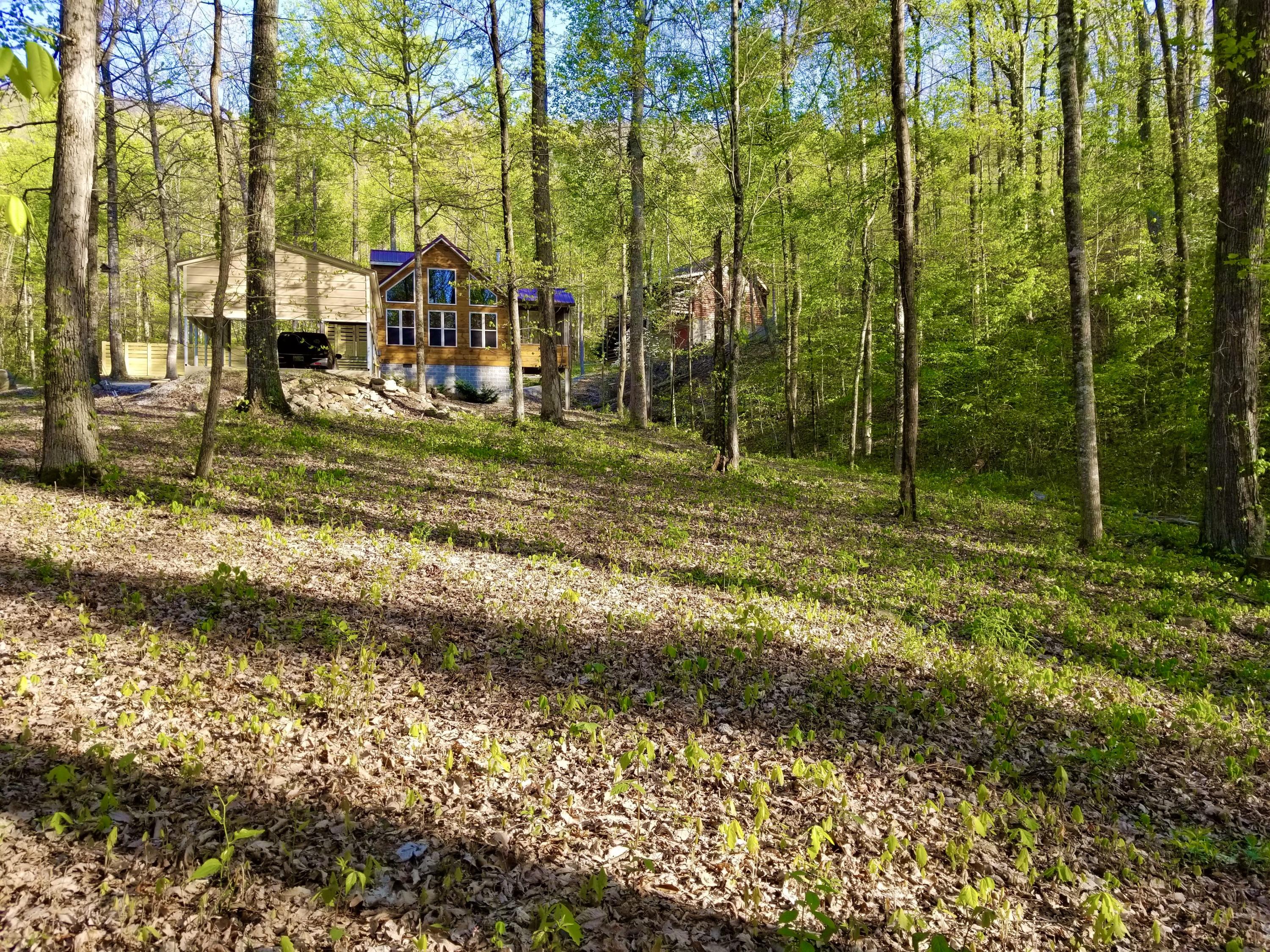 1117 Turkey Ridge Way Seymour, TN 37865 - Photo 36 of 40 B07733A6-554F-49E9-B878-103132D2AFDF_1_2