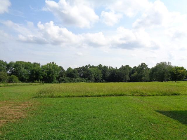 11 Bonnertown Road Five Points, TN 38457 - Photo 23 of 24 a view of field and tall trees